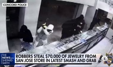 America's biggest companies say retail crime is an epidemic, but just how big of a problem is it?