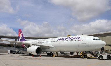 Hawaiian Airlines ranked No. 1 major airline in the country for on-time flights, report finds