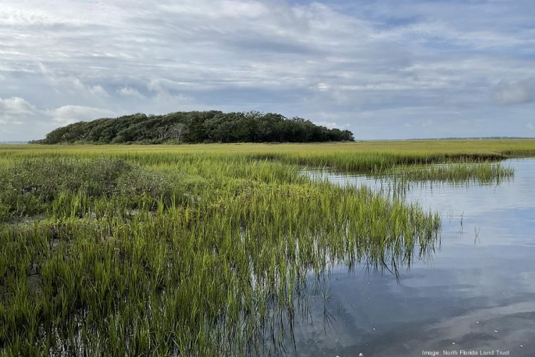 State closes on Little Tiger Island in Nassau County for $1.96M