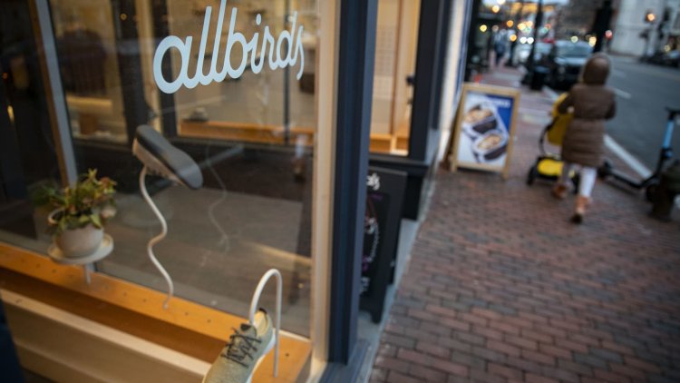 Allbirds stock plunges after company admits missteps, unveils new strategy