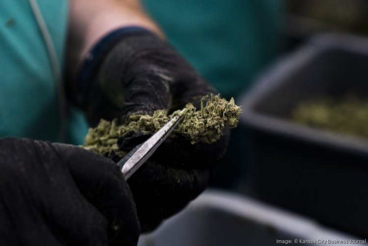 Missouri paces to be the fastest state to reach $1B in cannabis sales