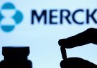Merck results beat expectations despite a big drop in sales of Covid antiviral treatment