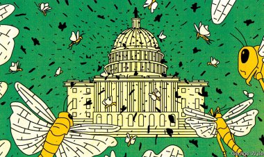 America’s $800bn climate splurge is feeding a new lobbying ecosystem