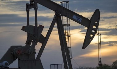 South Texas Drilling Permit Roundup: Houston-based Trinity Operating leads the pack