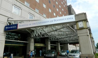 HUP and Fox Chase lead the region in cancer surgery volume, new report finds