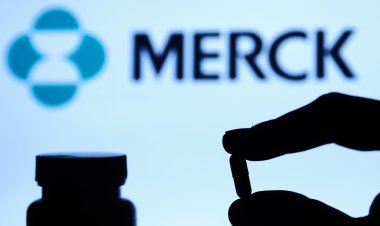 Merck results beat expectations despite a big drop in sales of Covid antiviral treatment